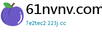 61nvnv.com